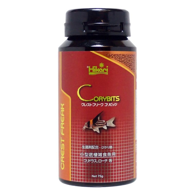 Corybits Japan
