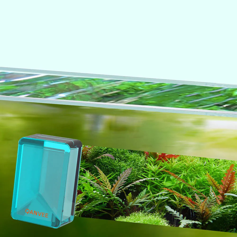 QANVEE Algae Scraper