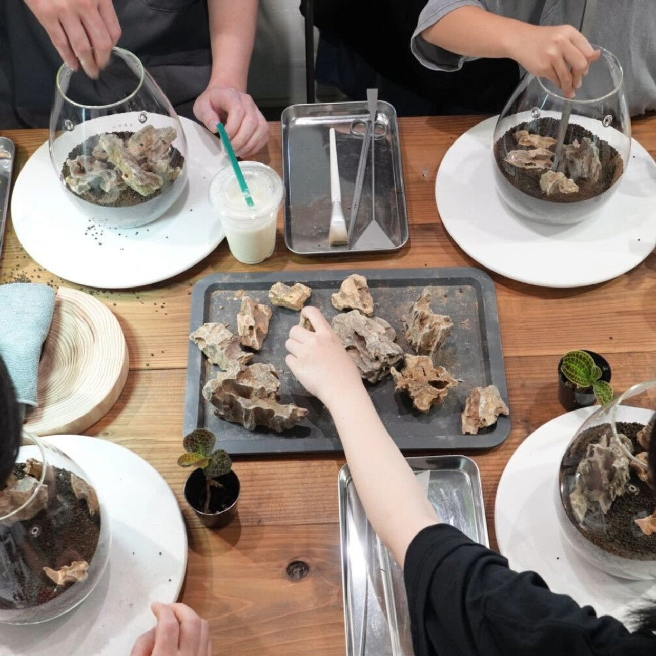 Shizuku Take-Home Workshop