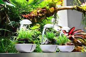 Chihiros Tiny terrarium egg set