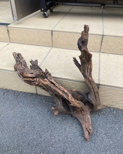 Horn Wood