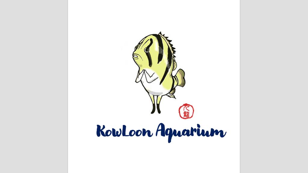 Albino Red Santa Isabel Angelfish – Aquapets ( KowloonAquarium)