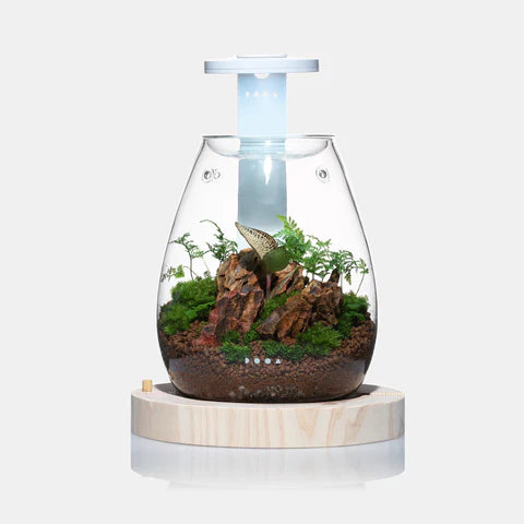 DOOA Magnet light G slim