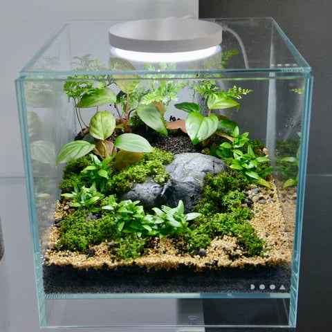 DOOA Magnet light G slim