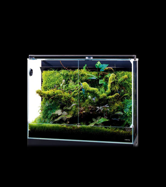 DOOA System Paluda 60