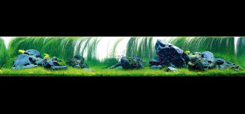 The Art of Nature Aquarium - ADA