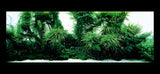 The Art of Nature Aquarium - ADA