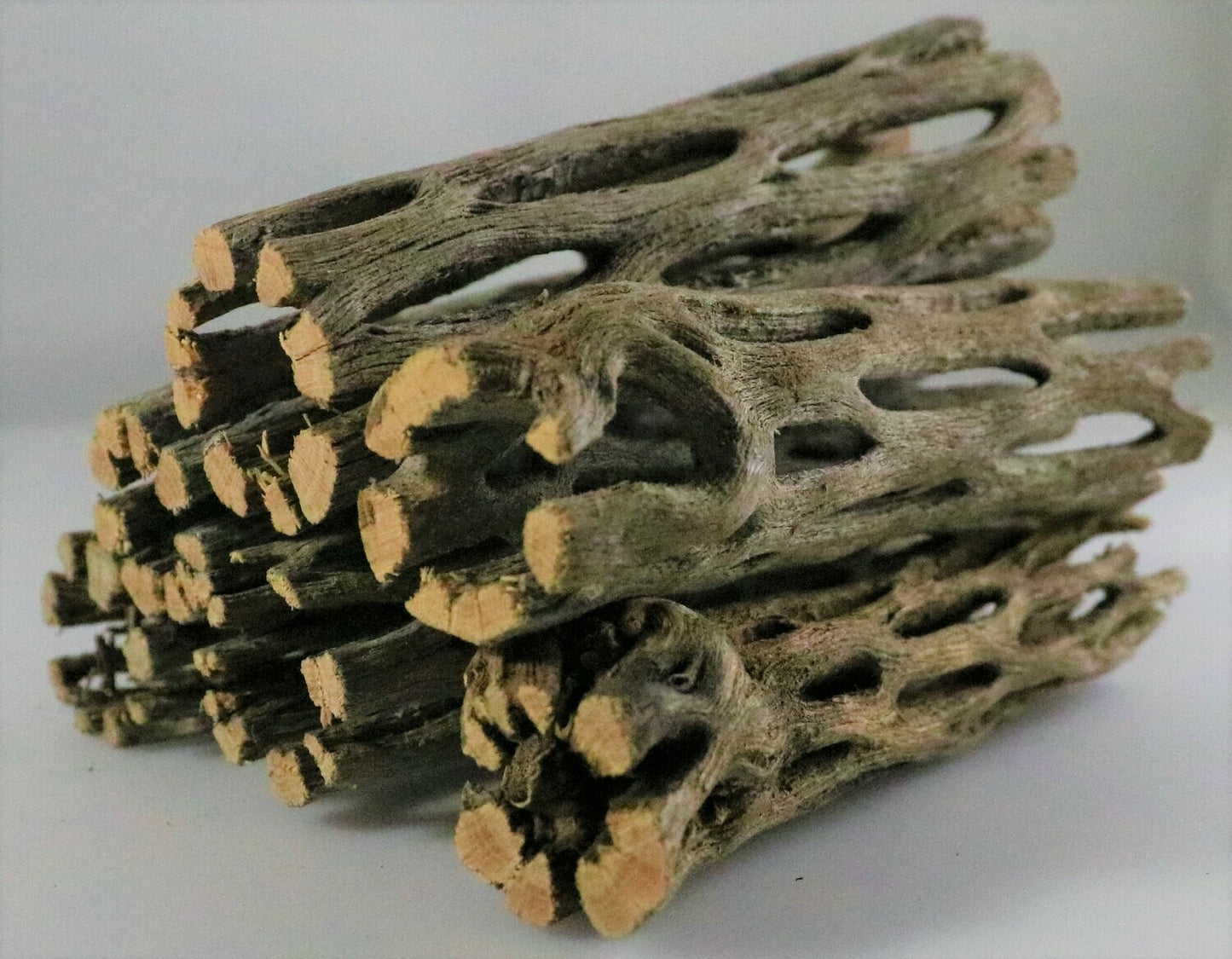 Cholla Wood
