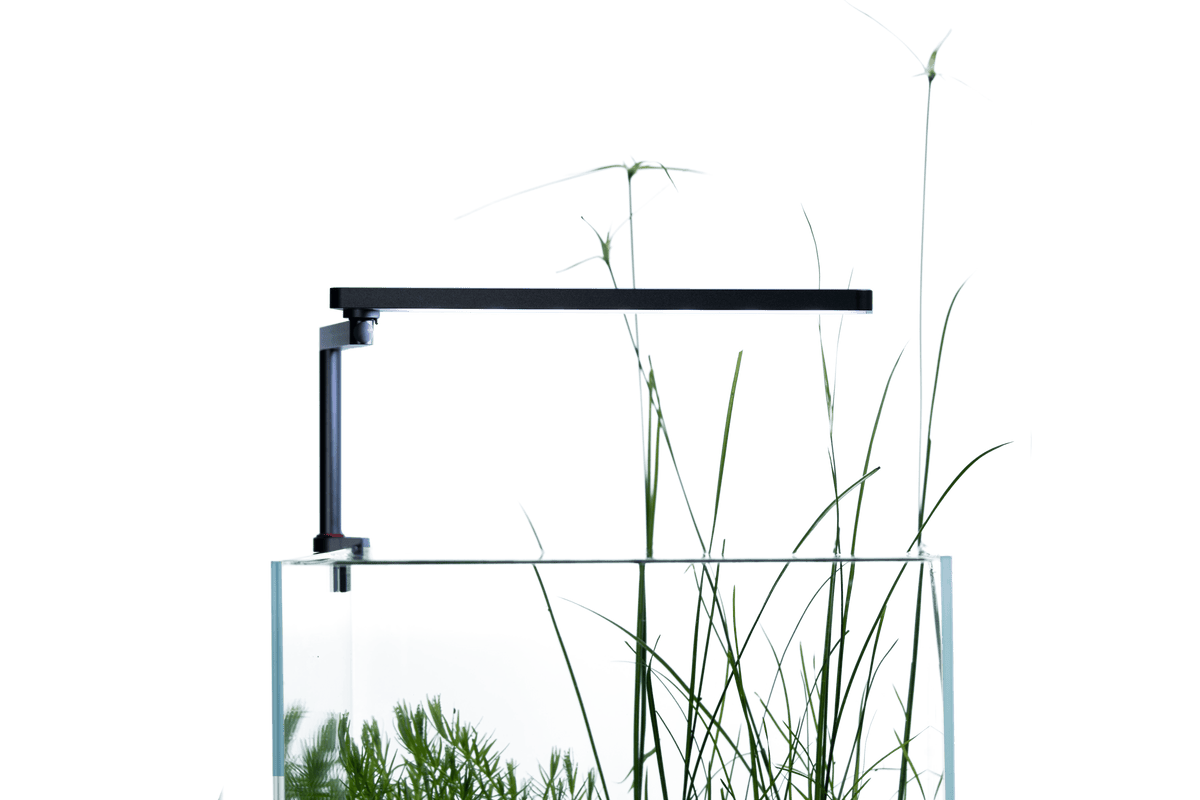 LEDSTAR NANO-III