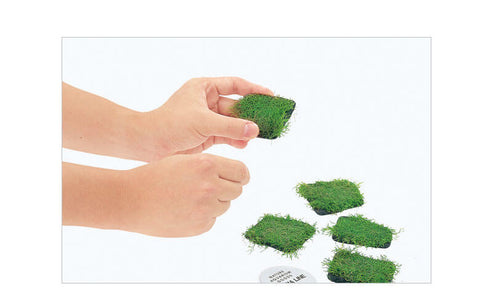 ADA - Riccia Stone (10pc)