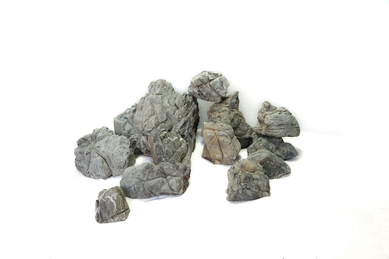 Grey Lichen Rock