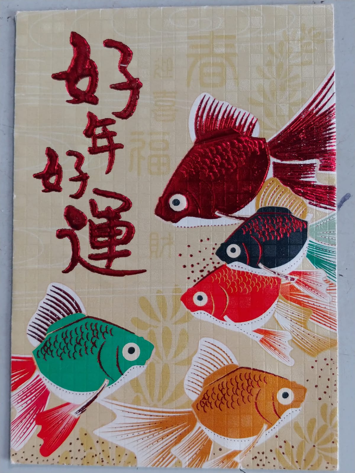 Chinese new year 2025 Red Pocket(201-300)