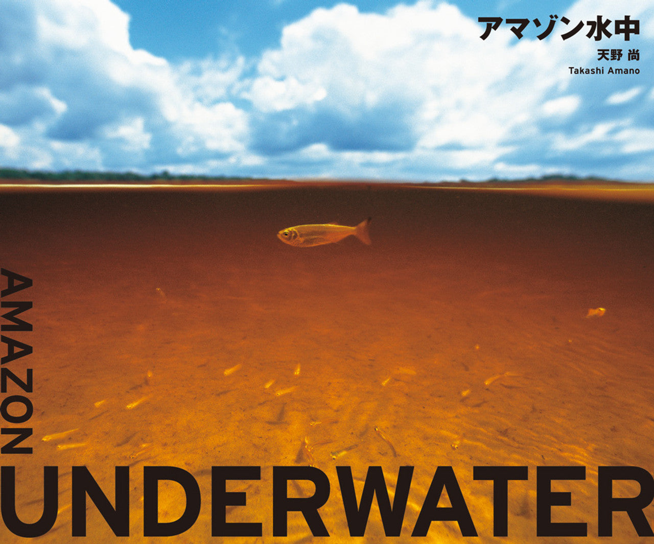 Amazon Underwater  (Japanese)