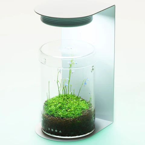 DOOA Maru Light Stand