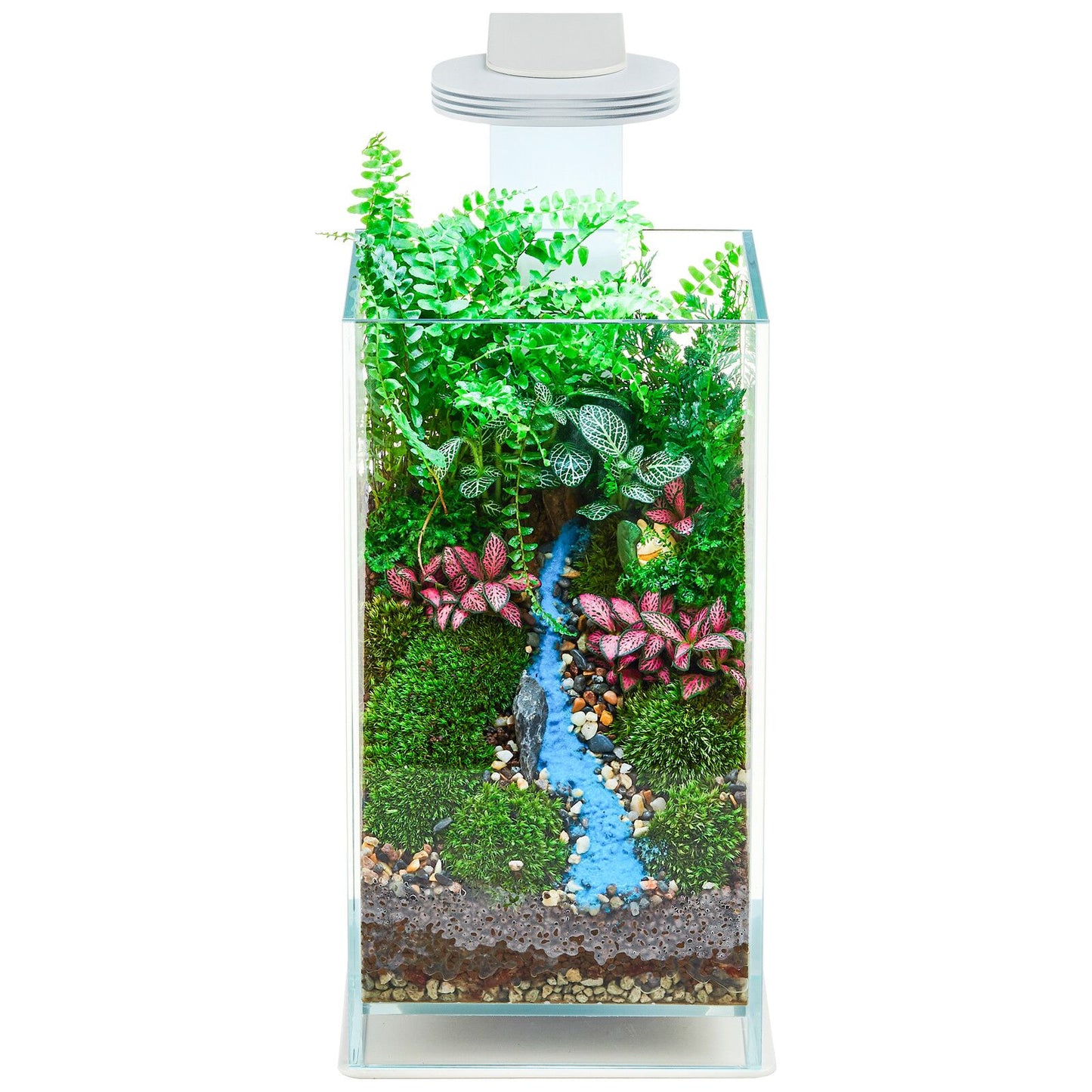 Chihiros Magentic light Terrarium Set