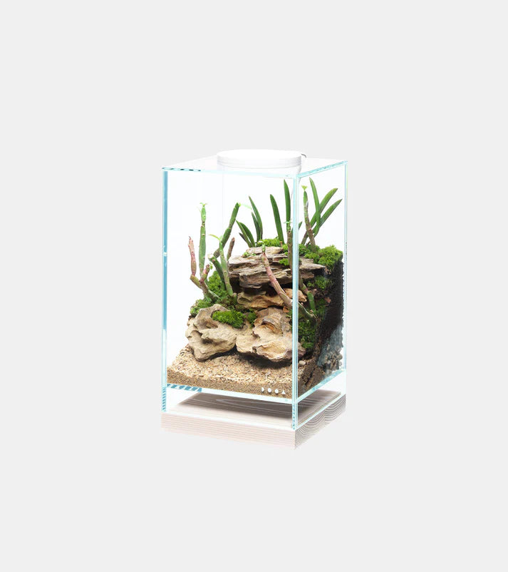 DOOA Neo Glass Air Wood Base