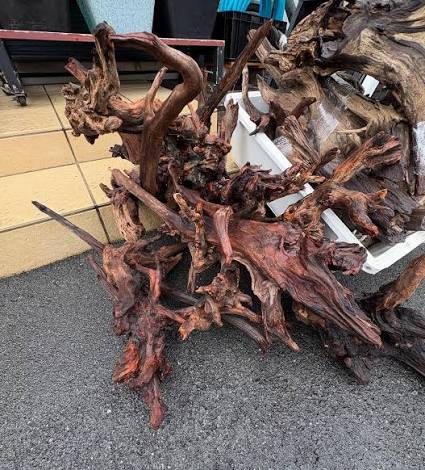 Horn Wood