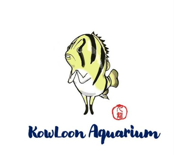 The Art of Nature Aquarium - ADA – Aquapets ( KowloonAquarium)
