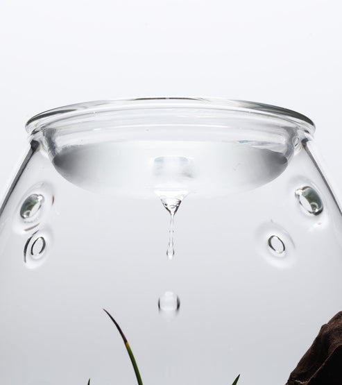 DOOA Glass Pot Shizuku