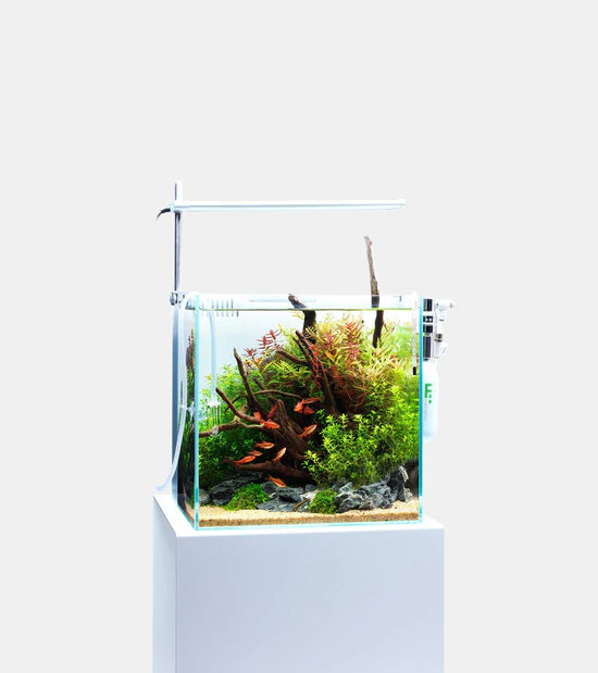 DOOA SOL Stand RGB