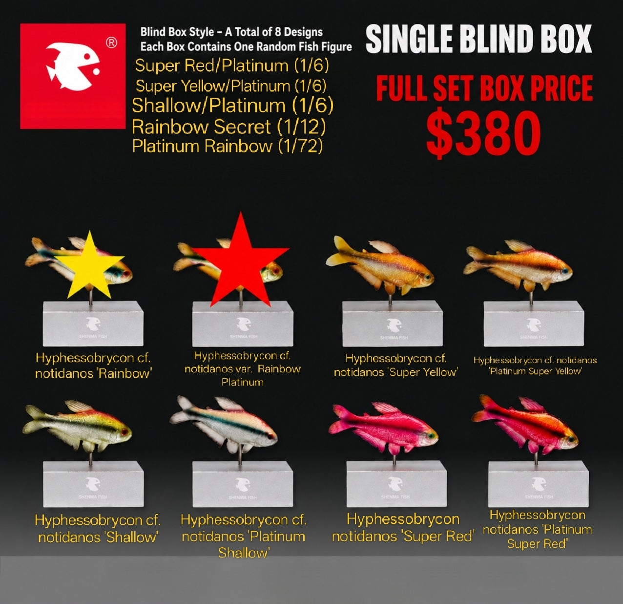 Project Eternal Tetra Blind Box Display