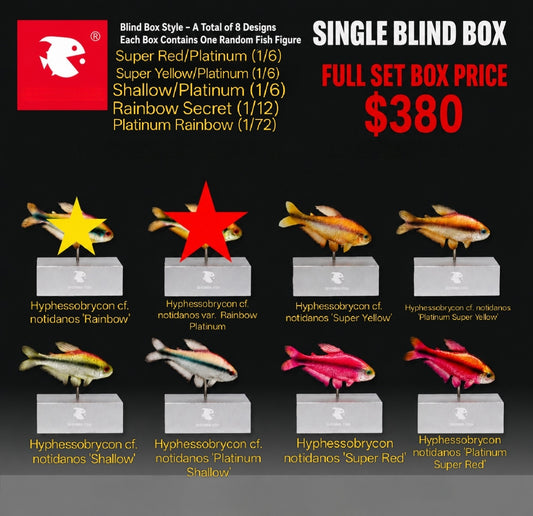 Project Eternal Tetra Blind Box Display
