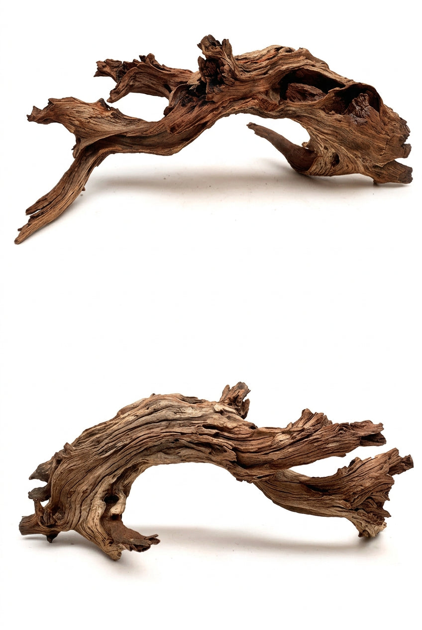 Horn Wood