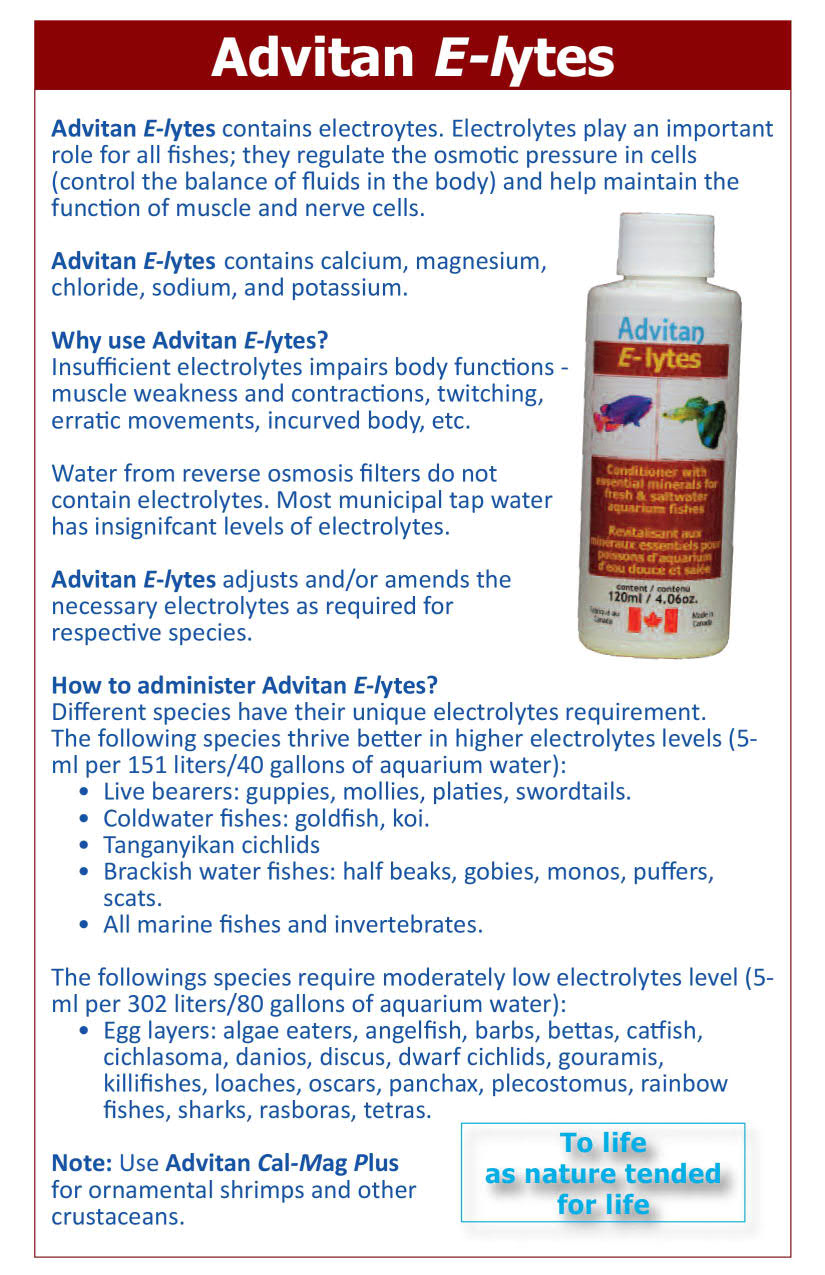 Advitan - E-Lytes